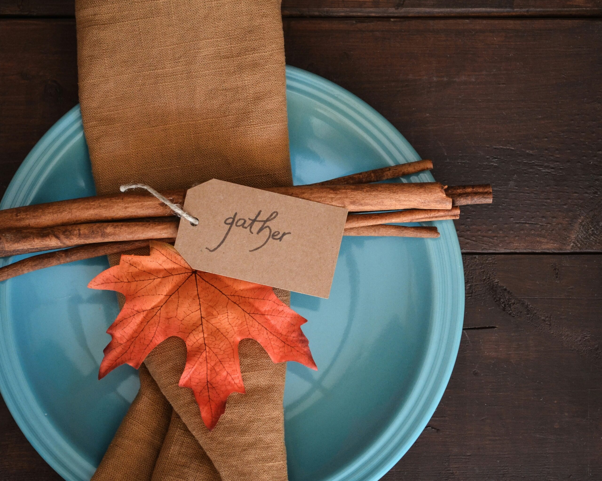 Thanksgiving Rentals